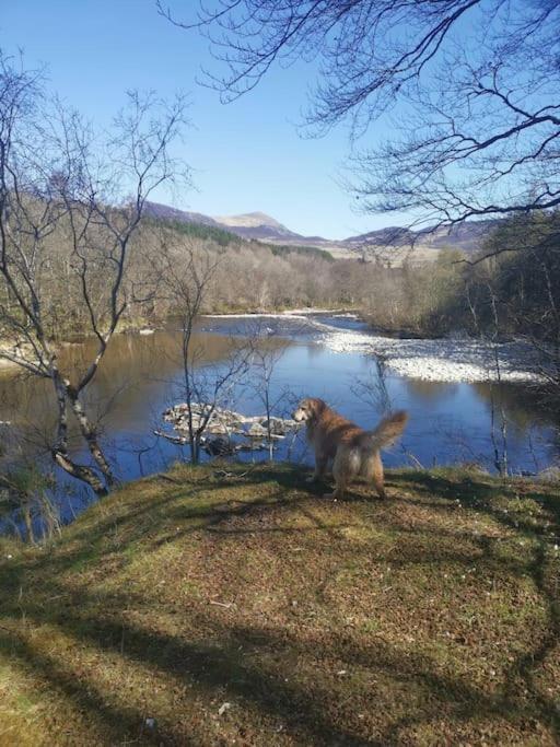 Riverside Lodge In Killiecrankie Bridge of Tilt Εξωτερικό φωτογραφία